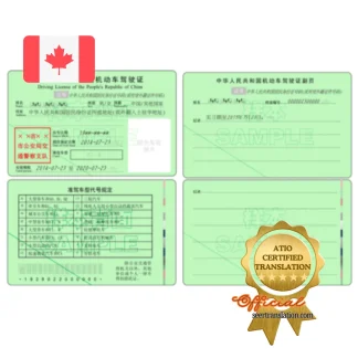 中国驾照